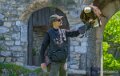 pygargue-jeremy-a74n_00894
