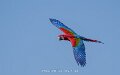 ara-a74n_05748