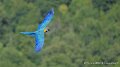 ara-a74n_06023