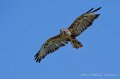 buse-variable-a74n_05936-Topaz