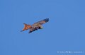 milan-royal-a74n_05904