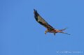 milan-royal-a74n_05913-Topaz