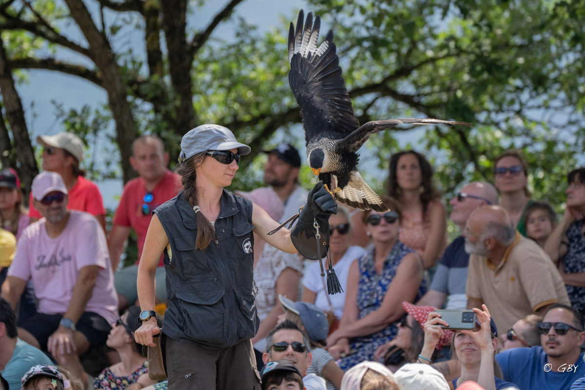 caracara-lea-A7V_02067.jpg
