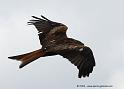 milan_5236