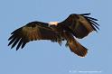 milan_6733