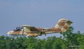 bronco-a74_05093