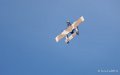 bronco-a74_05153