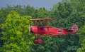 fokker-a74_04222