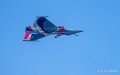 rsd-a74_04999