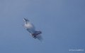 rsd-a74_05070