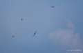 t28-vietnam-a74_05117