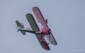 wingwalkers-a74_04796