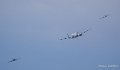 epsilon-md311-a74_03934