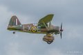 lysander-a74_03534