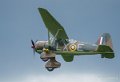 lysander-a74_03546