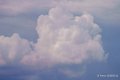 paf-a74_03921