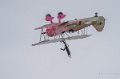 wingwalkers-a74_04075