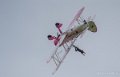 wingwalkers-a74_04076