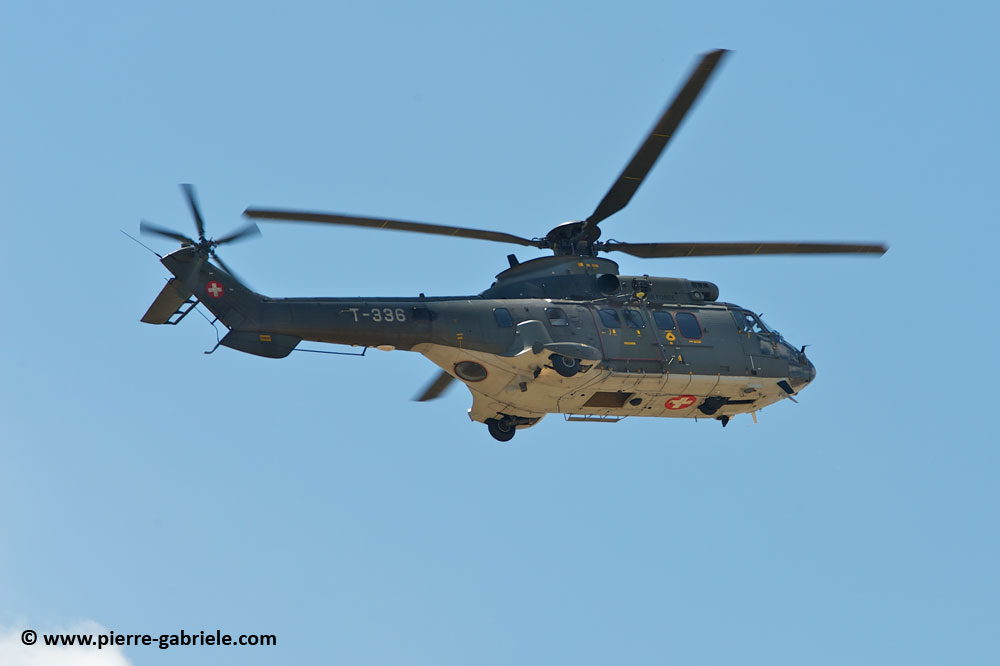 cougar-as32_8704.jpg