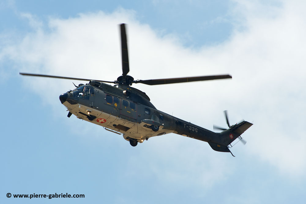 cougar-as32_8705.jpg