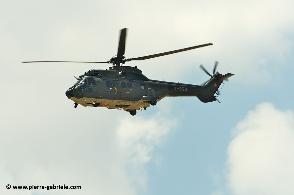 cougar-as32_8708.jpg