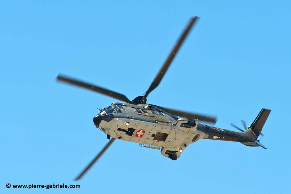 cougar-as32_9438.jpg