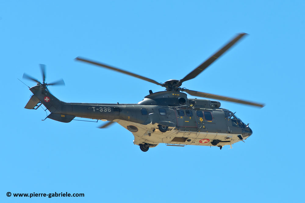 cougar-as32_9441.jpg