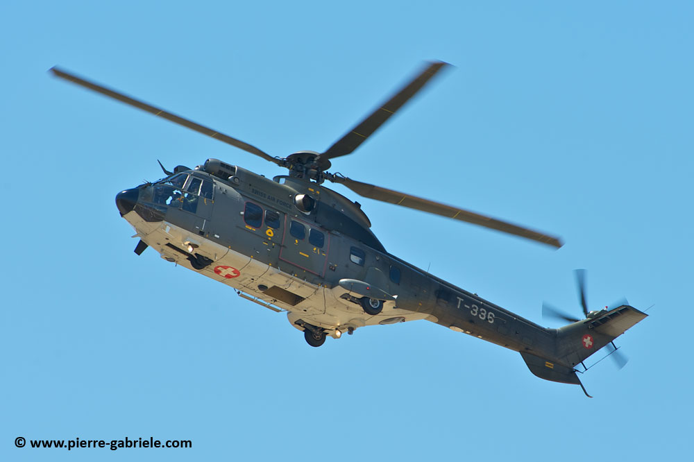 cougar-as32_9445.jpg