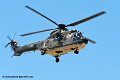 cougar-as32_9449