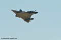 mirage2000_9054