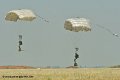 parachutistes_9242