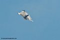 rafale_8749