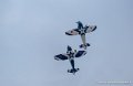 pat-capten_2991