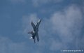 f18_3295
