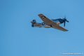 mustang_3202