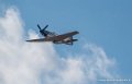 mustang_3204