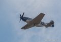 mustang_3205