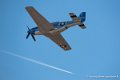 mustang_3206