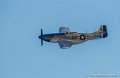 mustang_3209