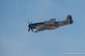 mustang_3210