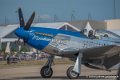 mustang_3213