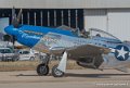 mustang_3214