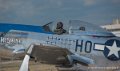 mustang_3215
