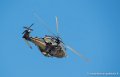 nh90_3266
