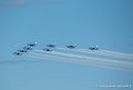 paf_2203