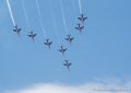 paf_2291