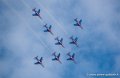 paf_2298