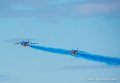 paf_2313