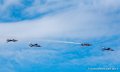 paf_2334