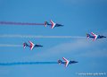 paf_2401